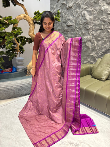 Semi gadwal