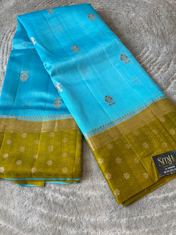 Mango pattu09