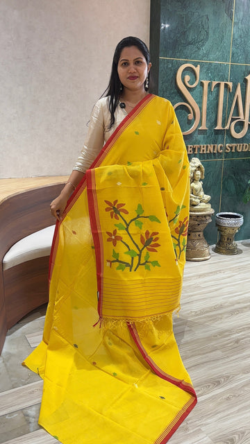 Jhamdani cotton yellow
