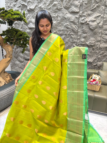 Kanchipattu parrot green -sea green