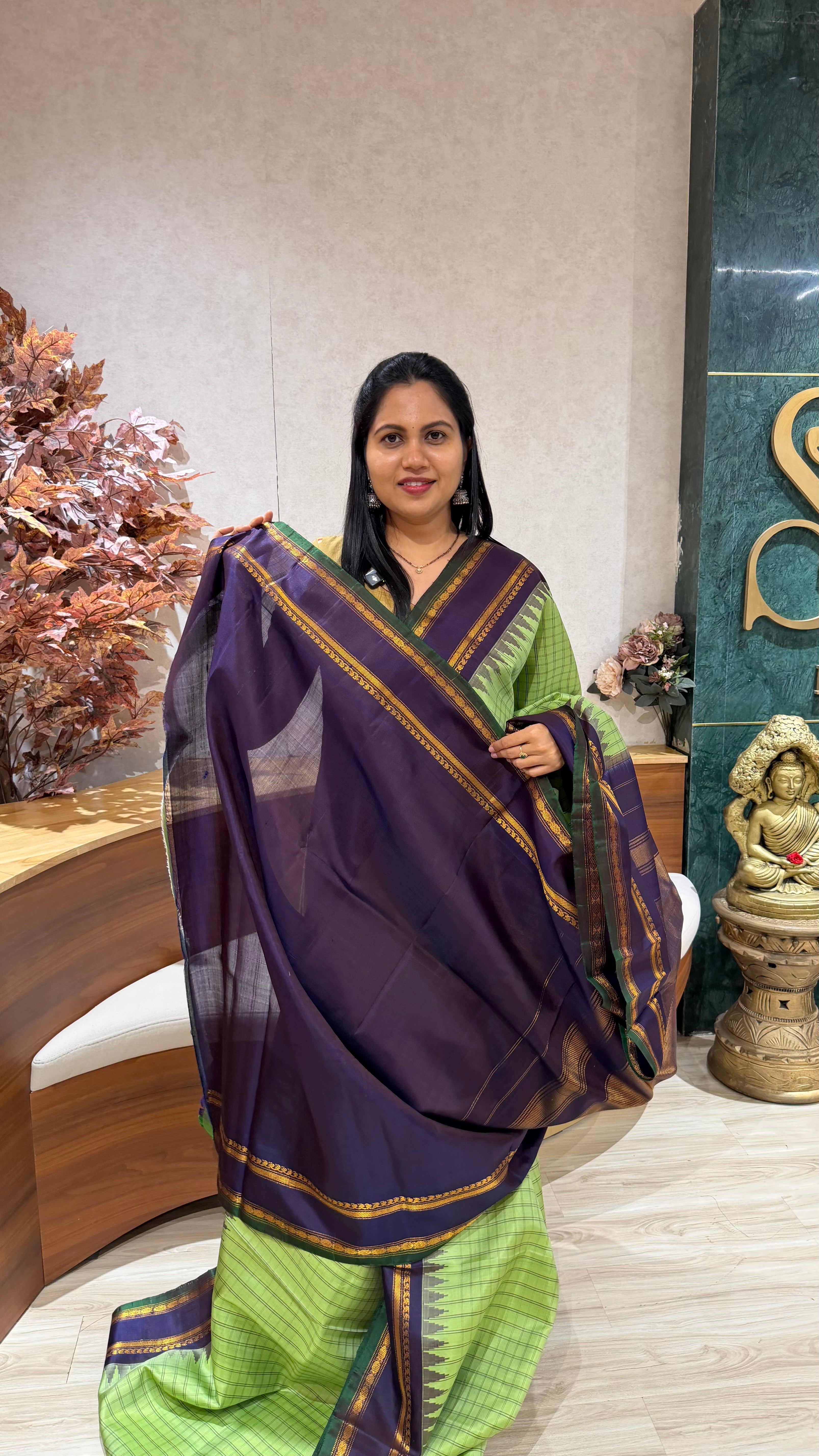 Handloom gadwal pattu