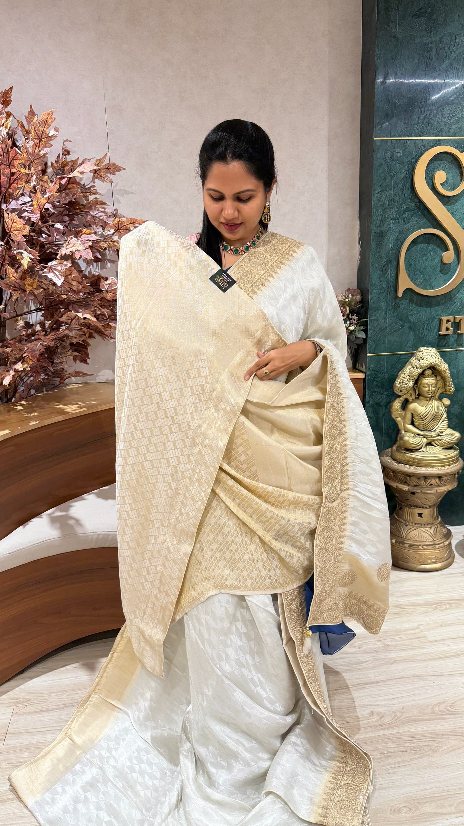 Banaras designer saree