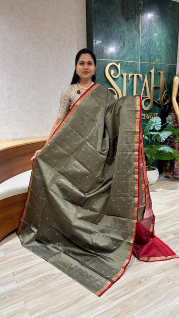 Small border kanchi pattu