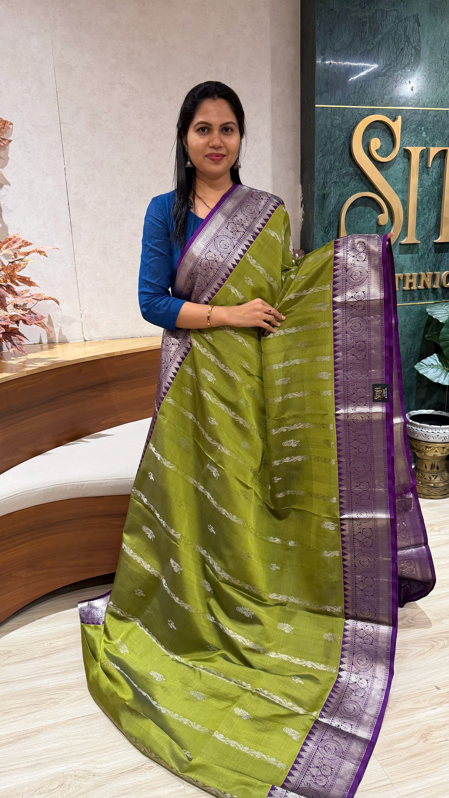 Handloom Venkatagiri pattu