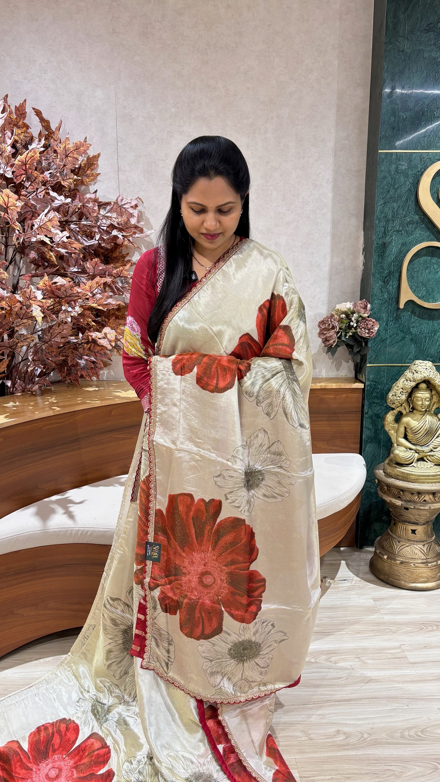 Georgette work borders