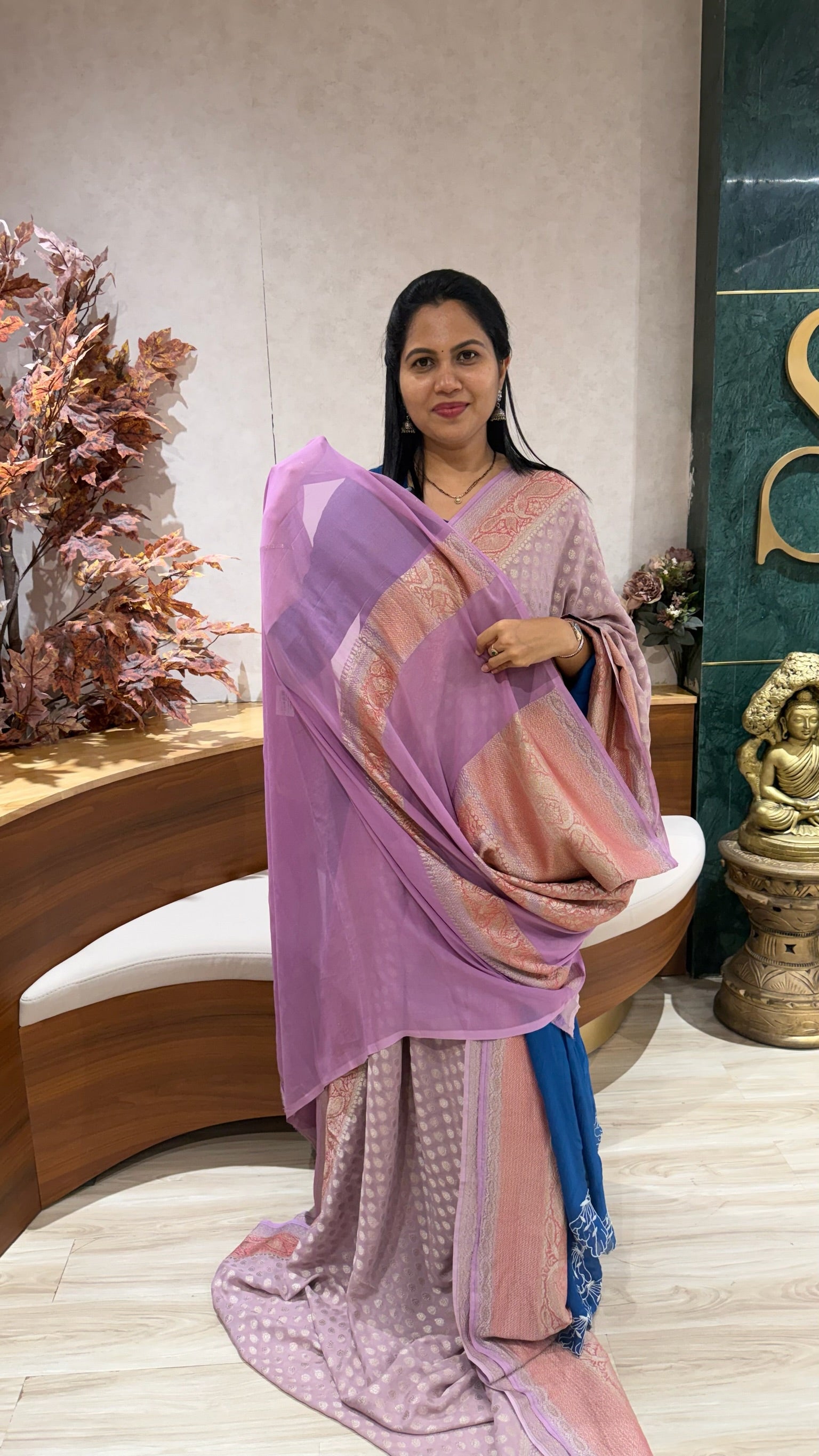 Handloom banaras georgette