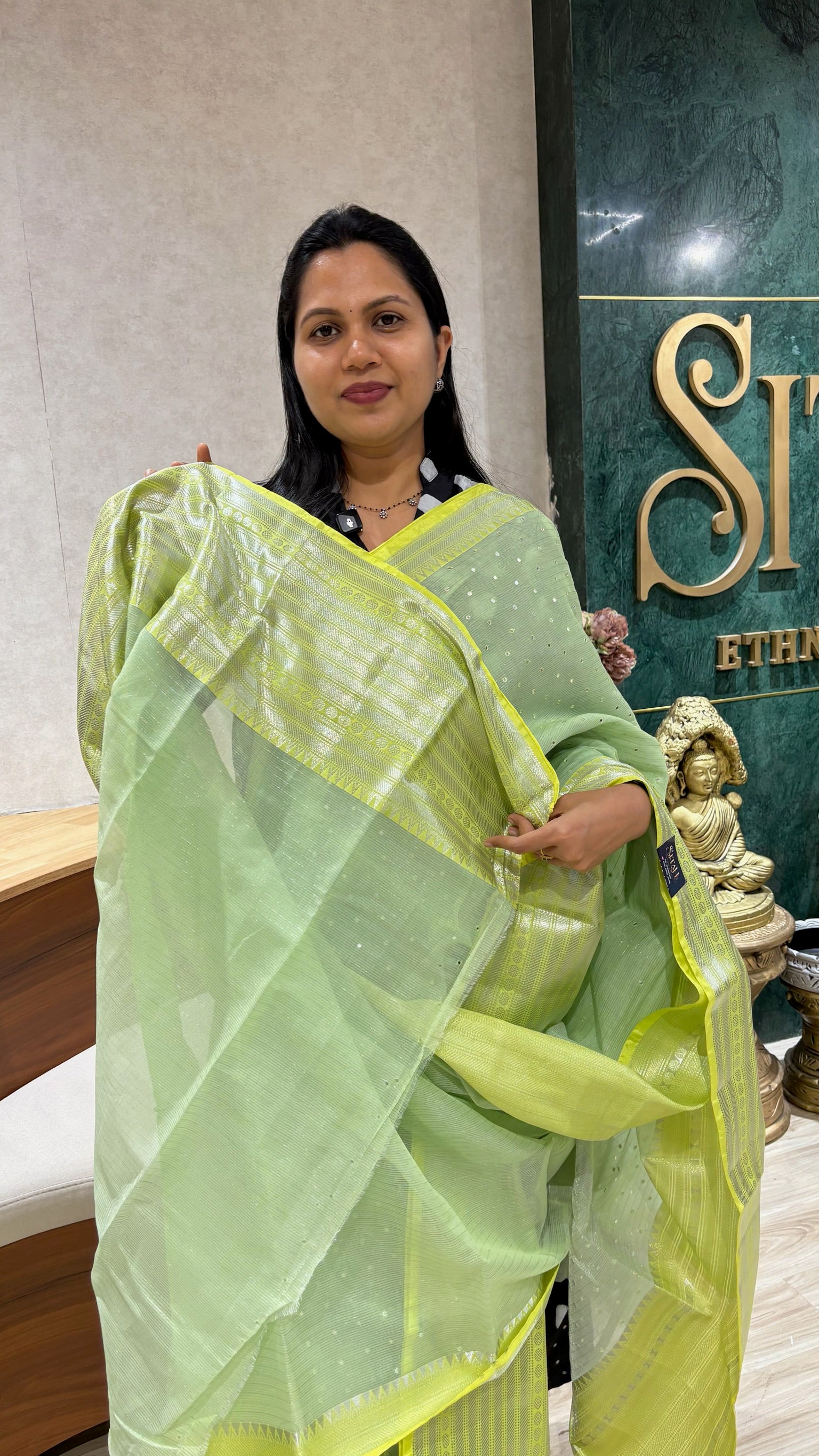 Mangalgiri mirror work