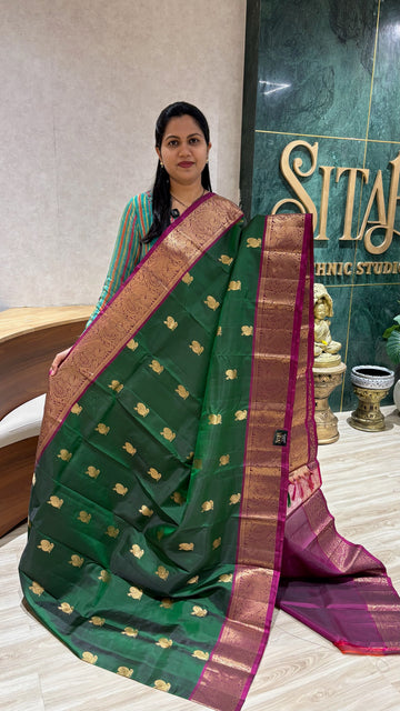 Handloom kanchi pattu