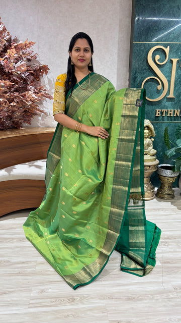 Handloom kanchi pattu