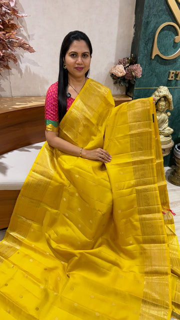 Handloom kanchi pattu
