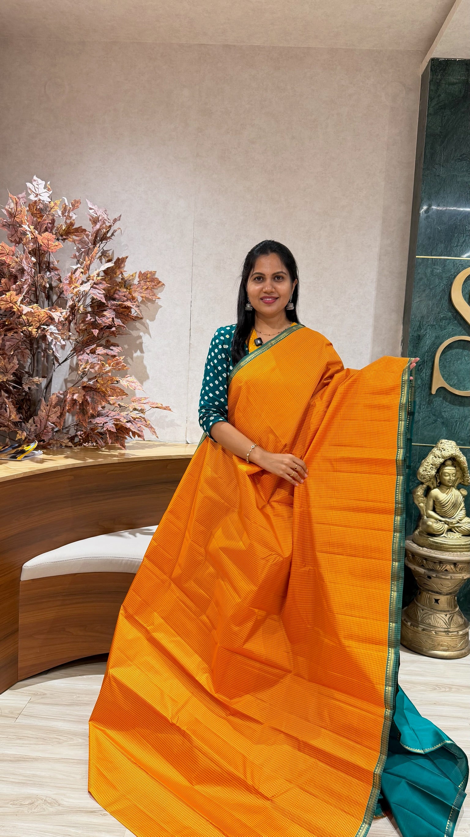 Vintage kanchi pattu