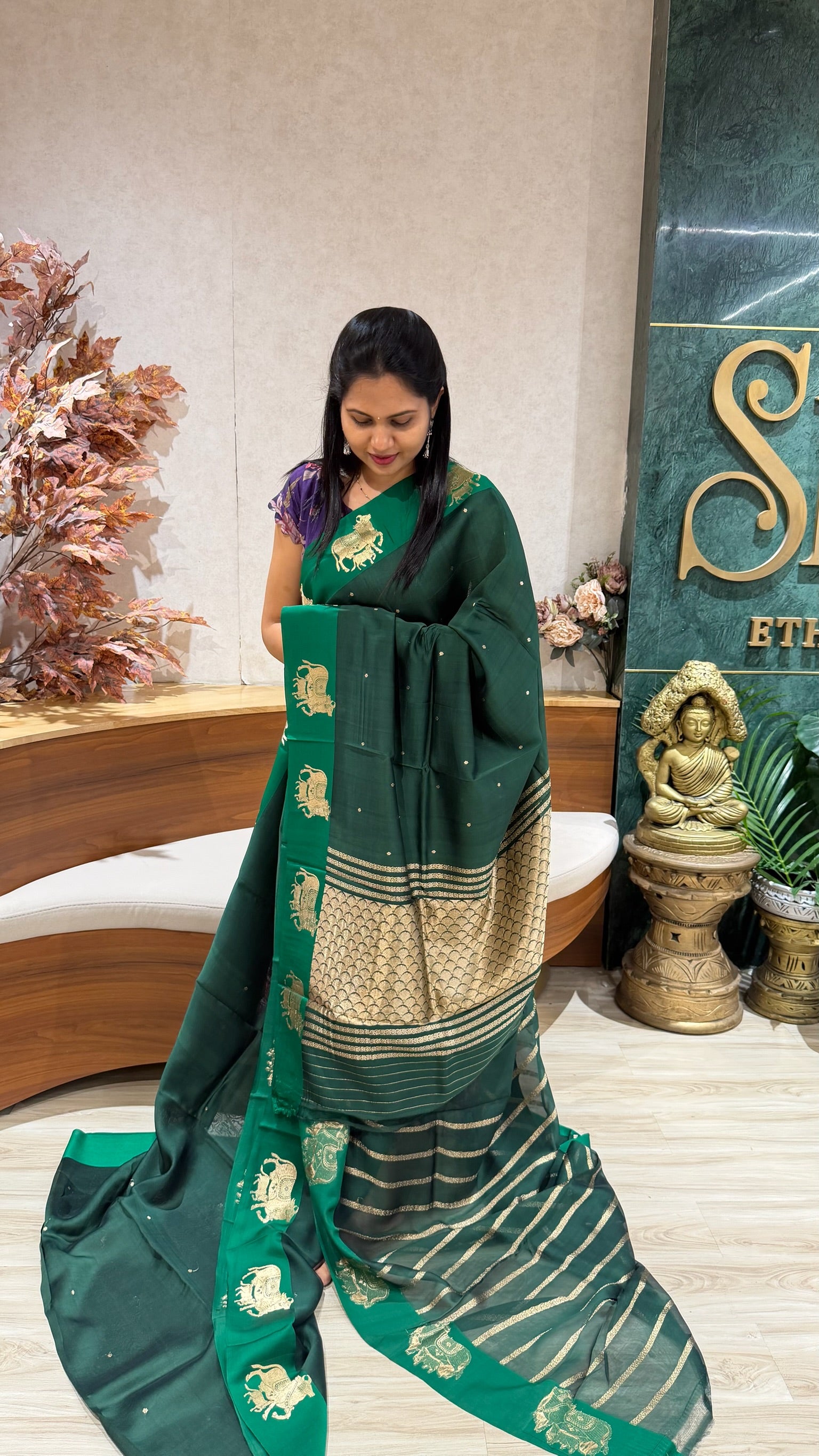 Handloom banaras pattu