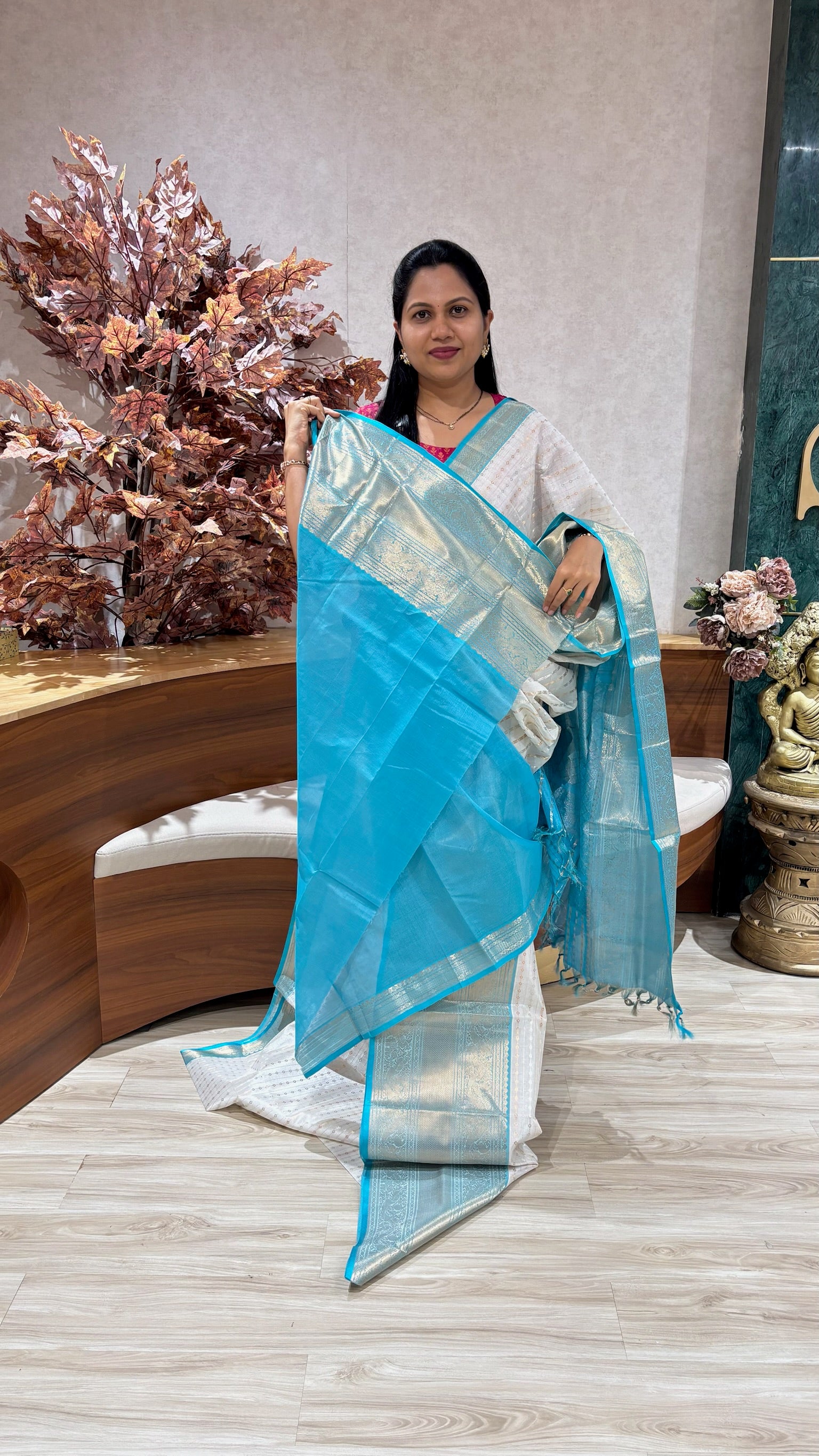 Handloom mangalgiri pattu