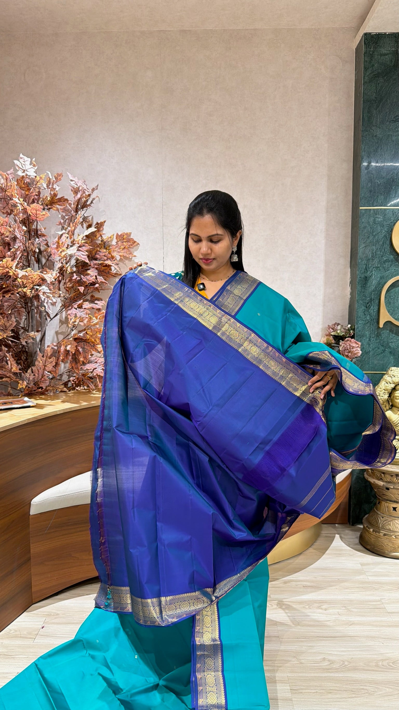 Vintage kanchi pattu sea green