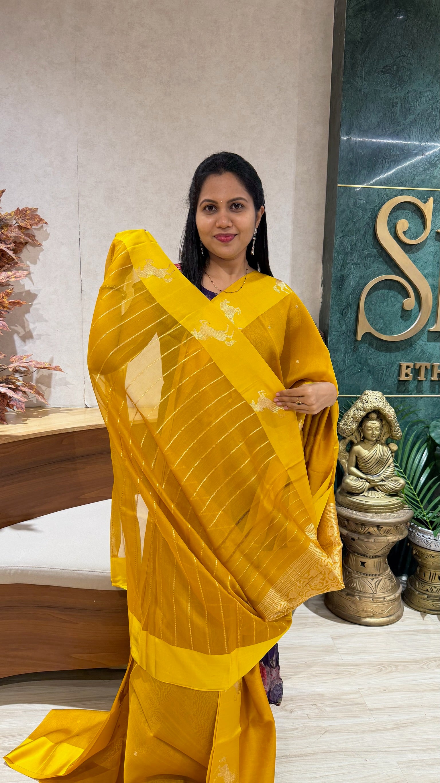 Handloom banaras pattu