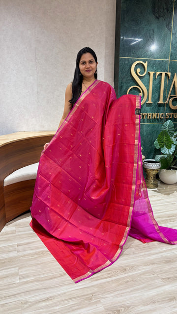 Small border kanchi pattu