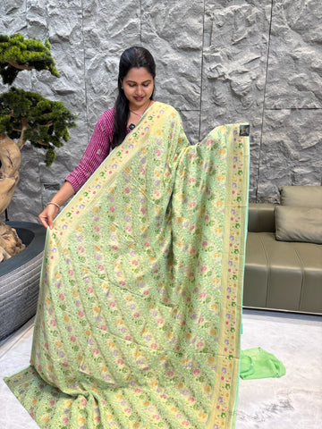 Pista green pure georgette