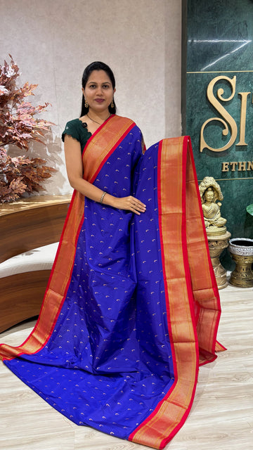 Semi Narayanpet blue