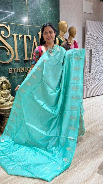 Pure Handloom mango pattu