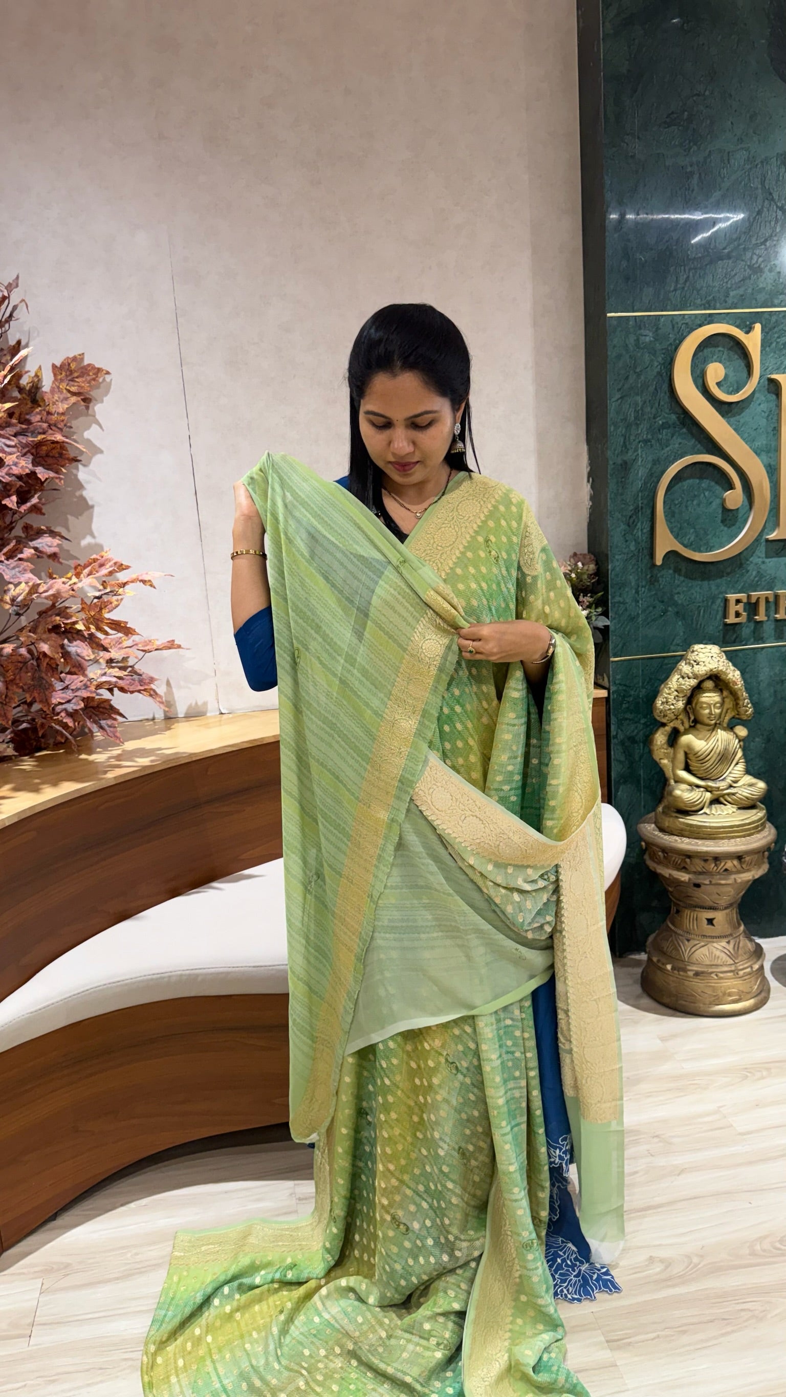 Handloom banaras georgette