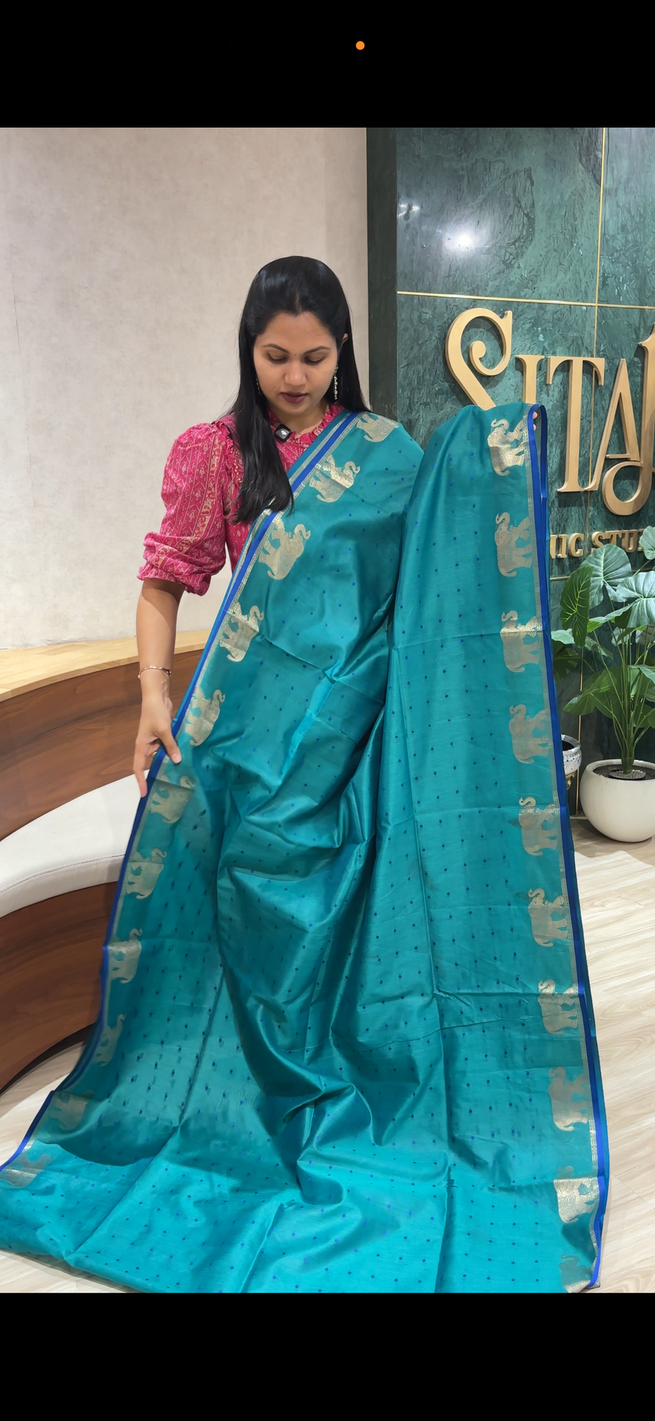 Tussar elephant sea green