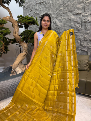 Fancy mango pattu methi yellow