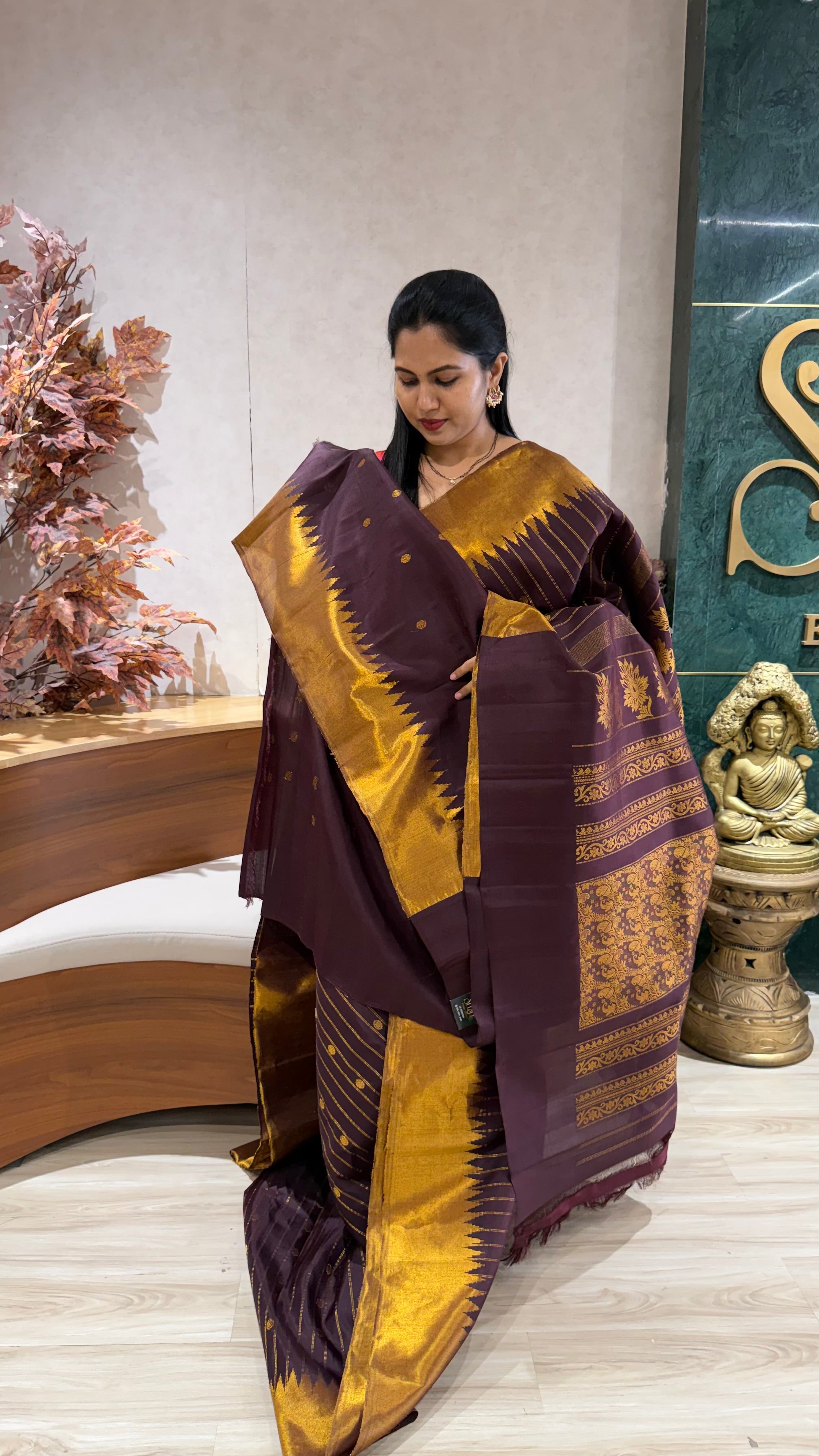 Handloom gadwal tissue border