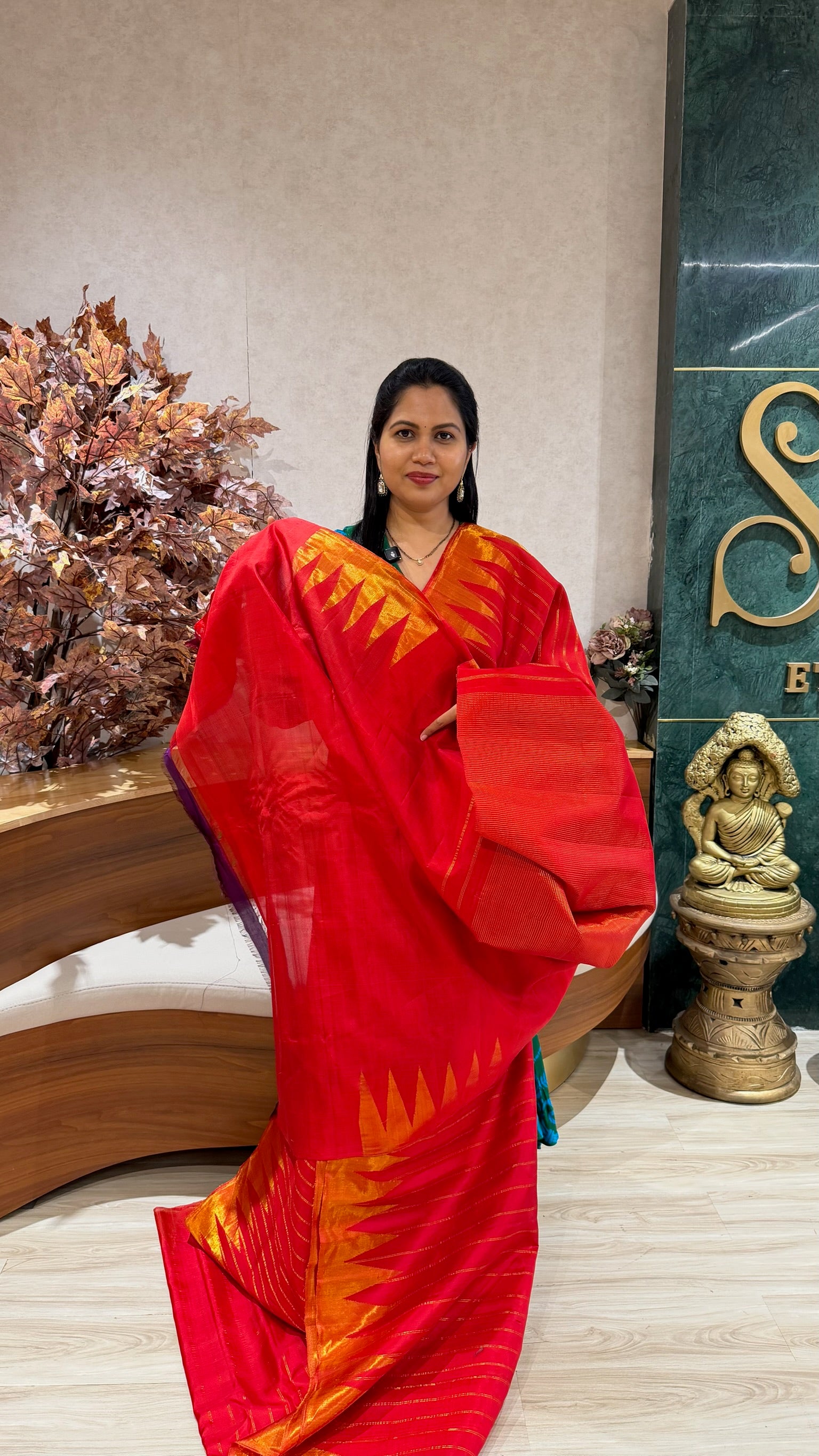 Handloom gadwal tissue border