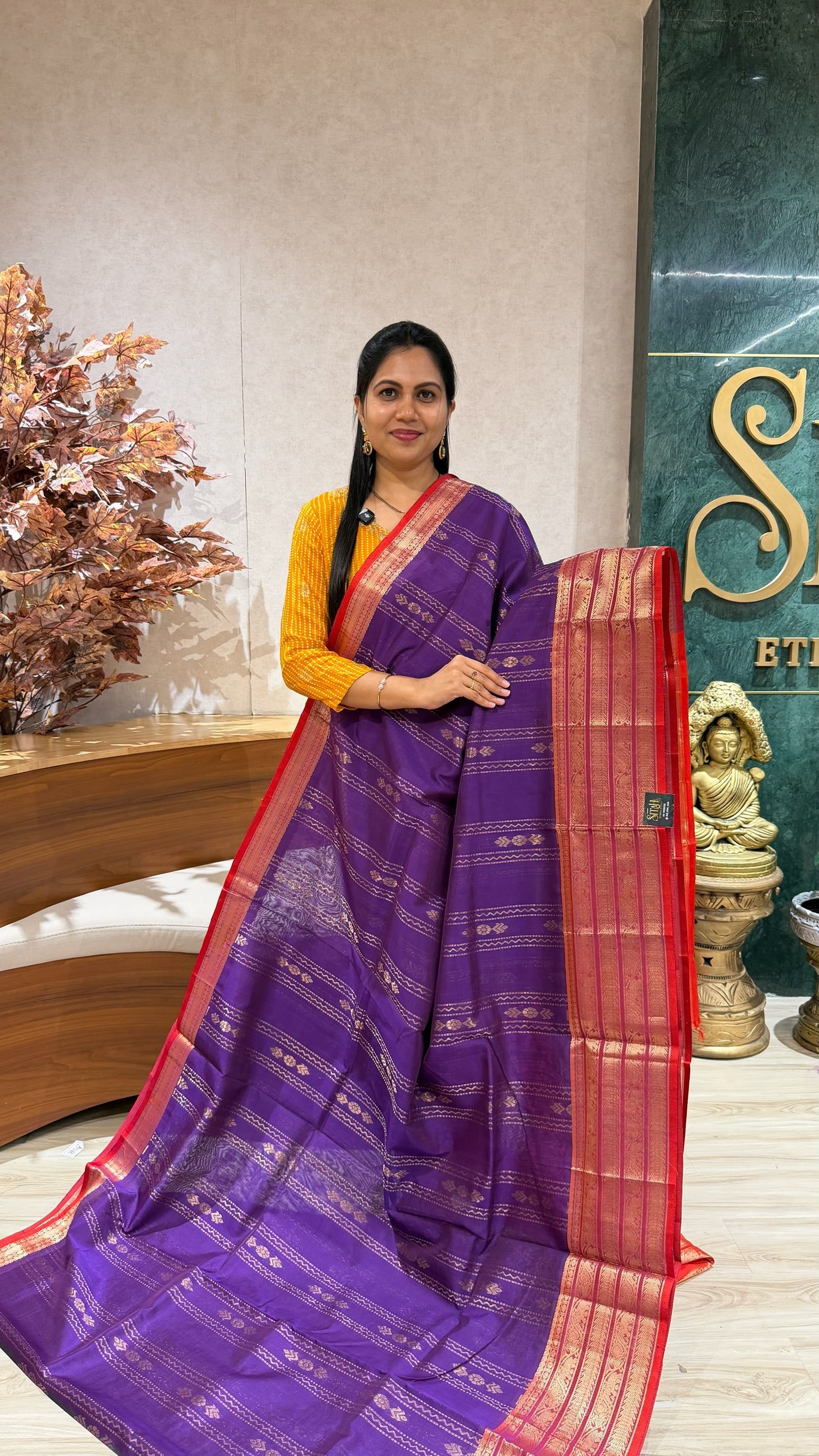 Handloom mangalgiri pattu