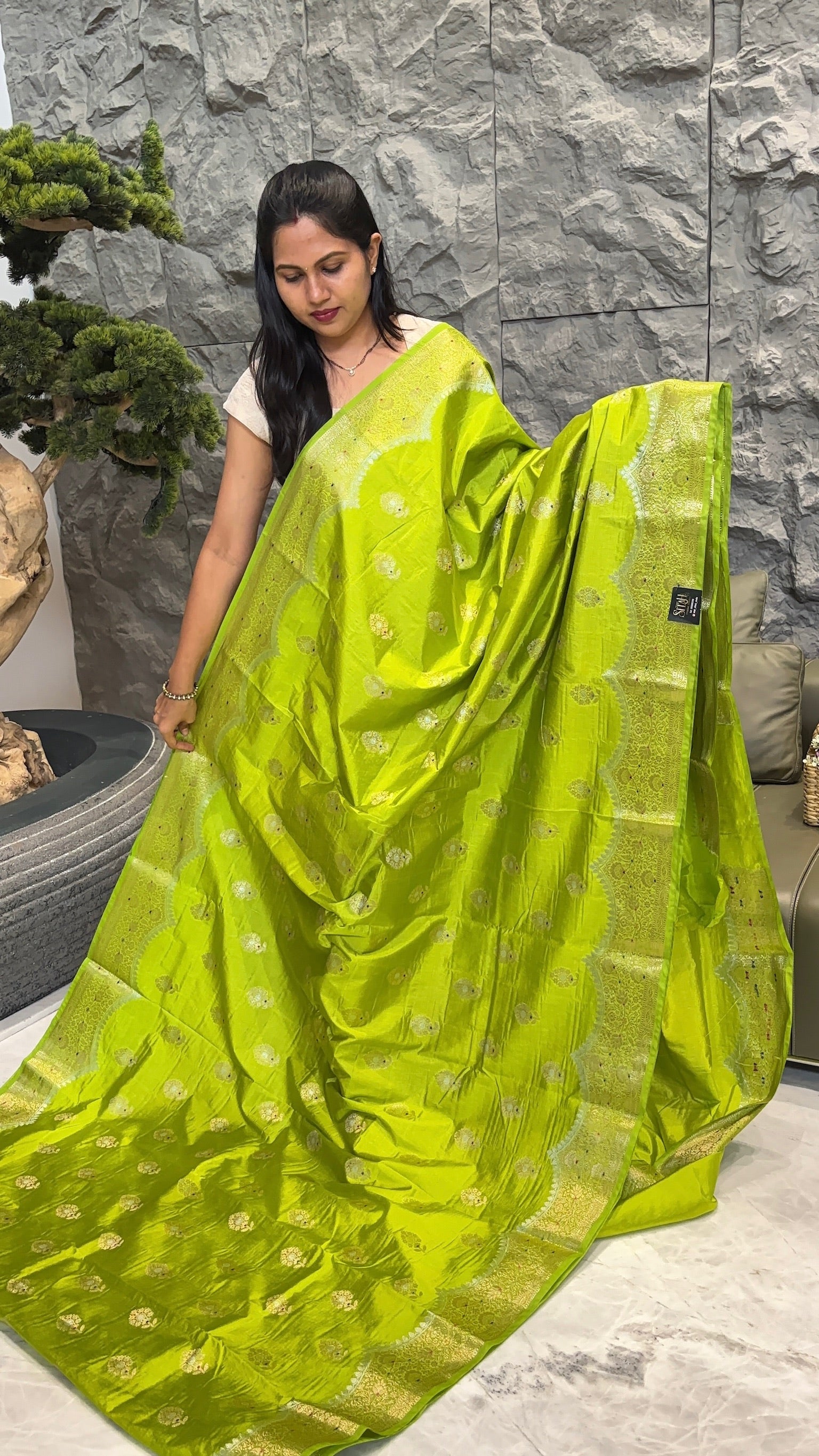 Green mango parrot green