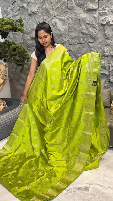 Green mango parrot green