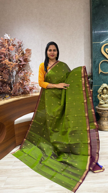 Small border kanchi pattu