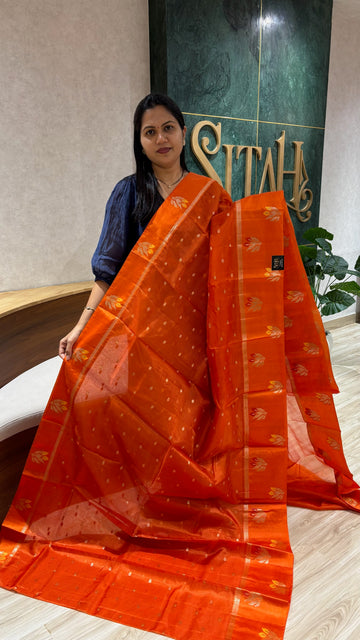 Kota sari