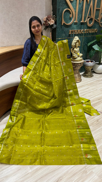 Kota sari