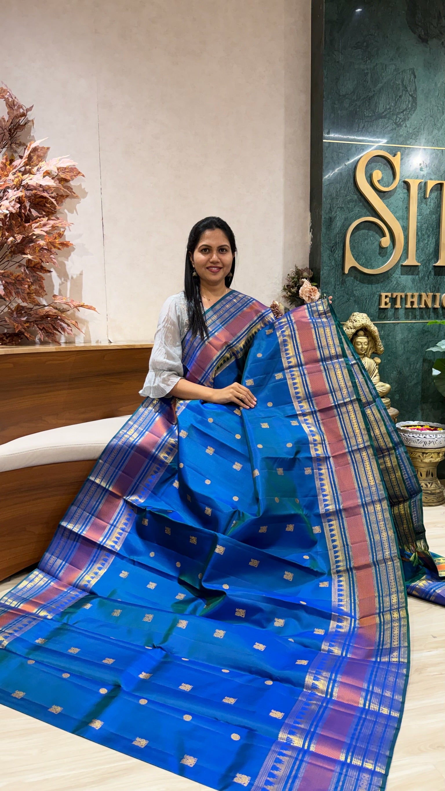 Handloom vintage Kanchipattu