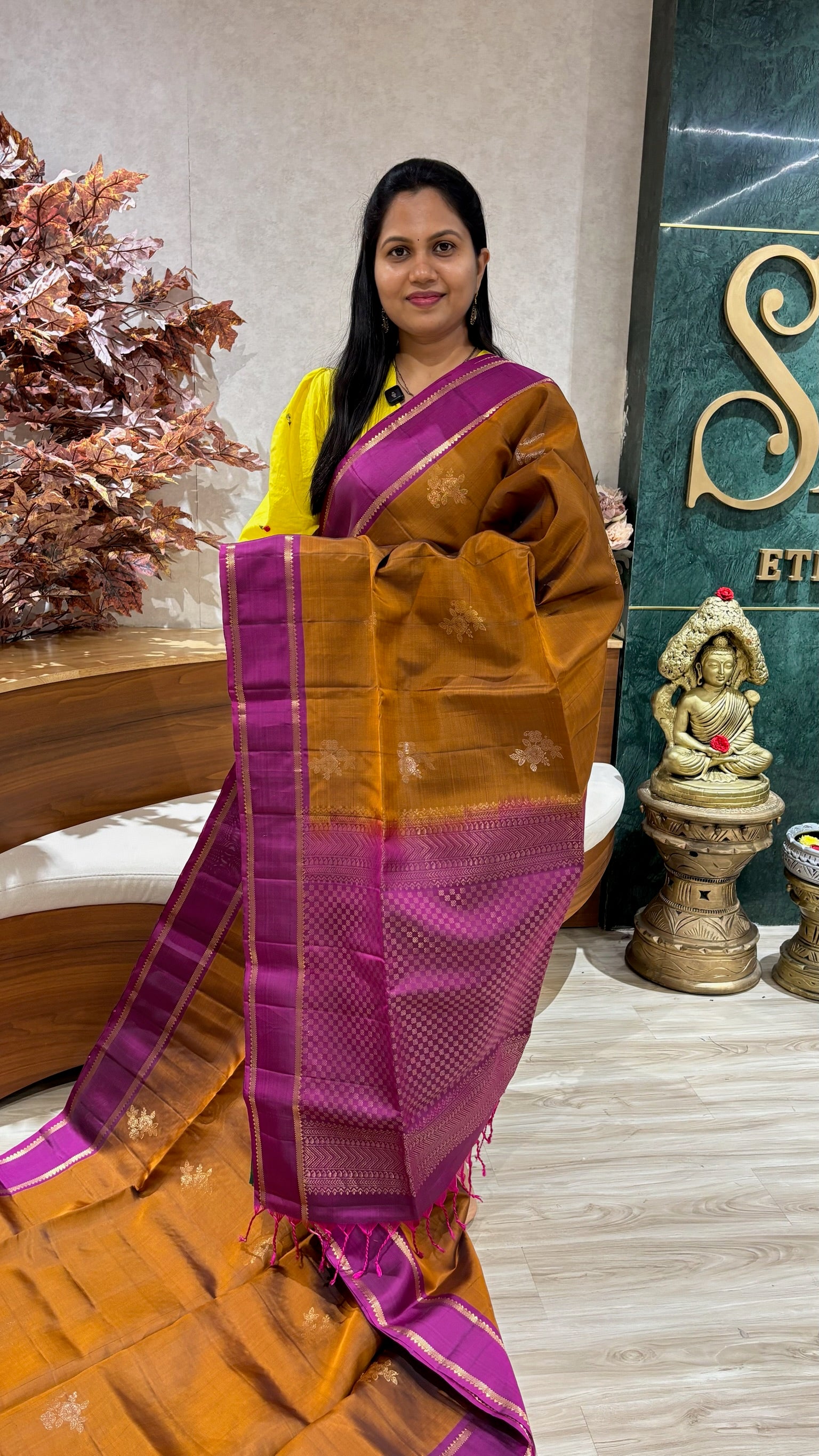 Handloom Kanchi pattu