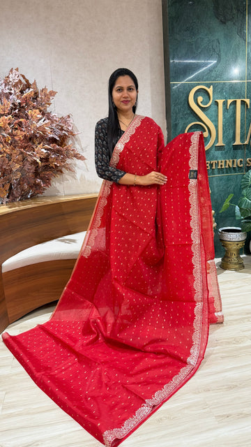 Fancy kota pittai red
