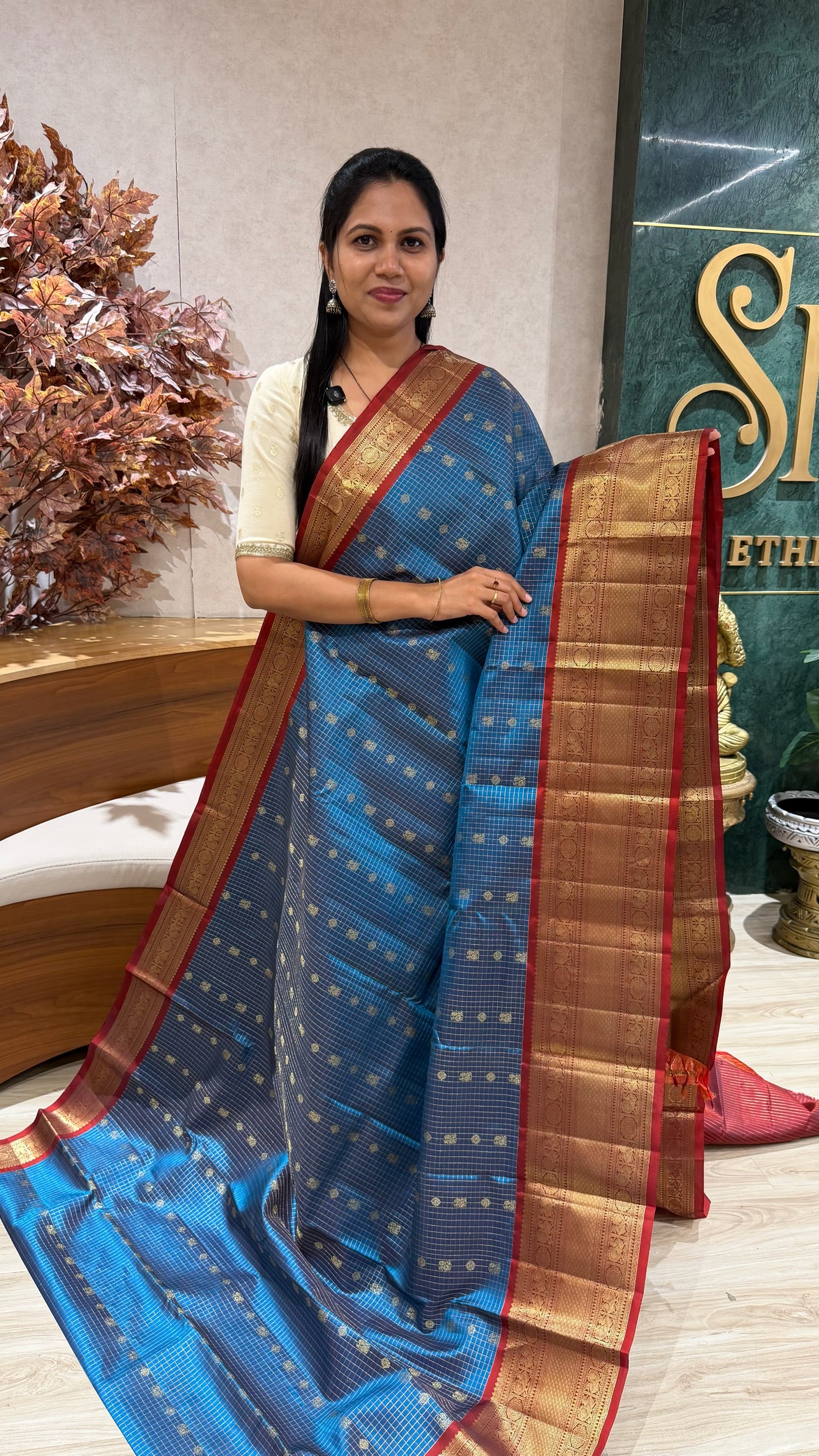 Handloom Kanchi pattu