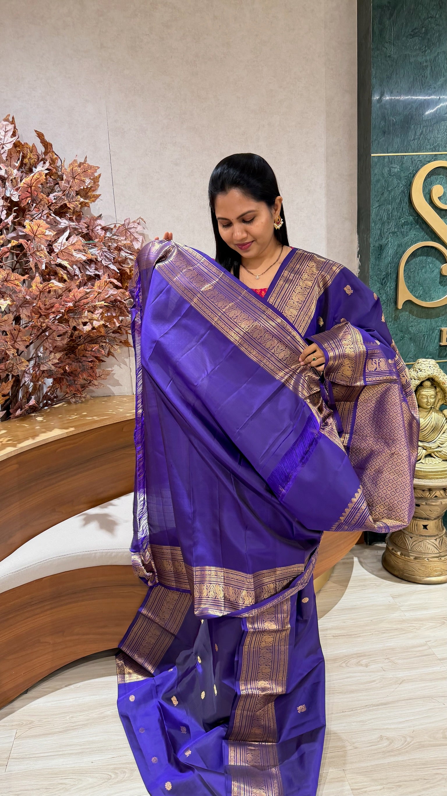 Handloom kanchi pattu