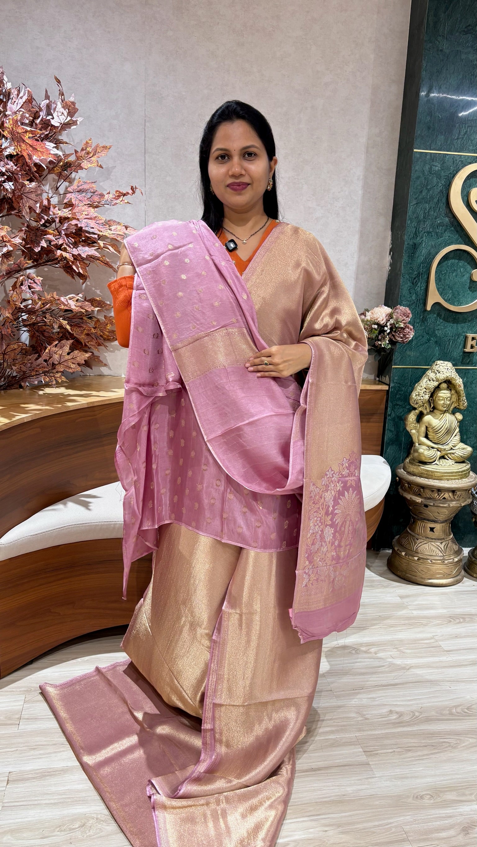 Banaras plain tissue georgette