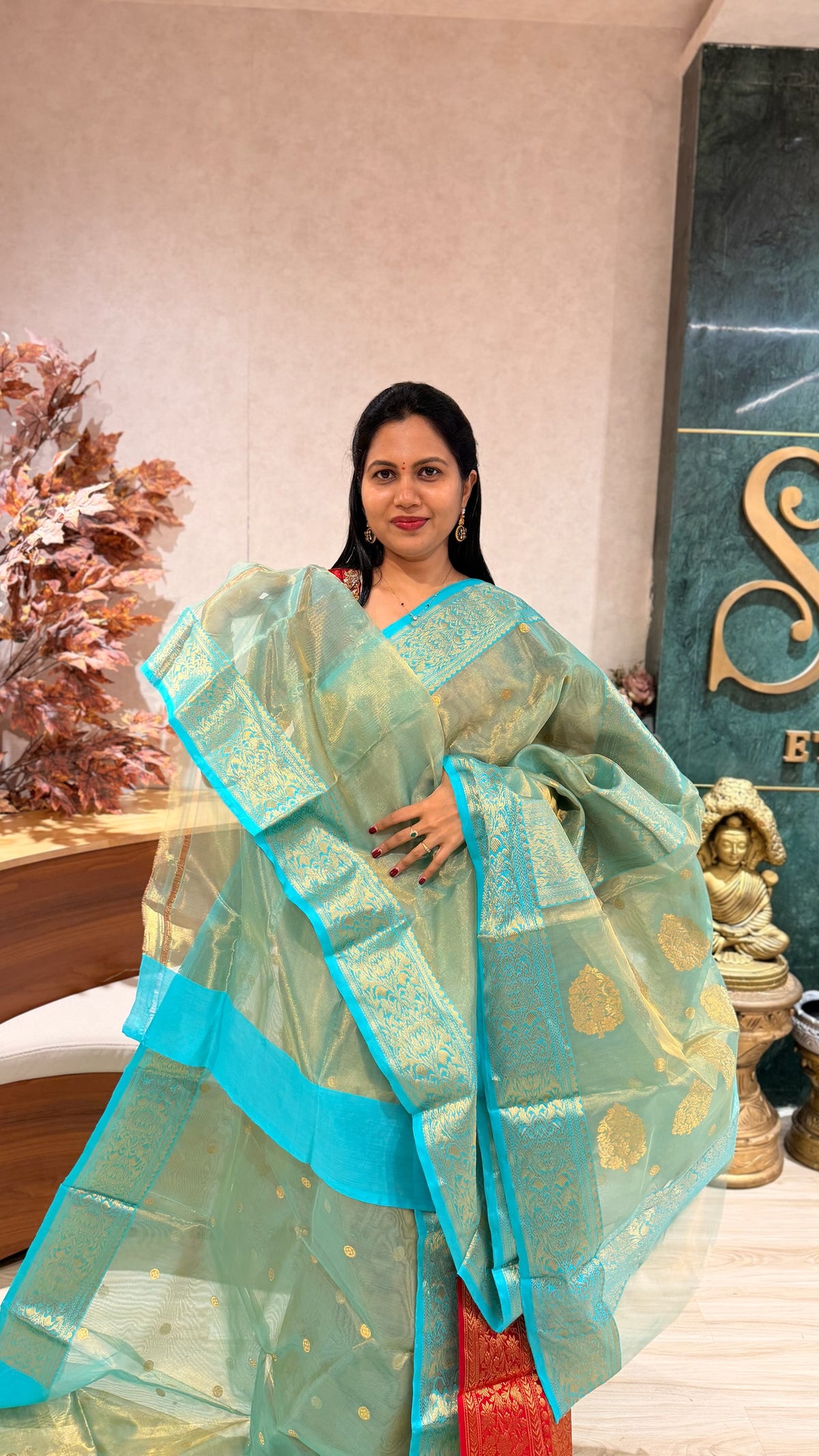 Handloom tissue chanderi