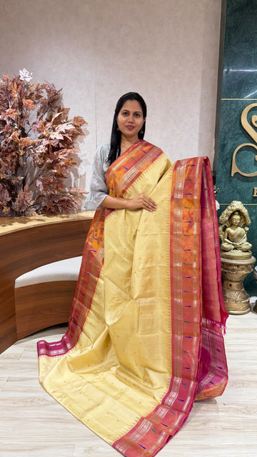 Handloom  Gadwal tissue muniya border