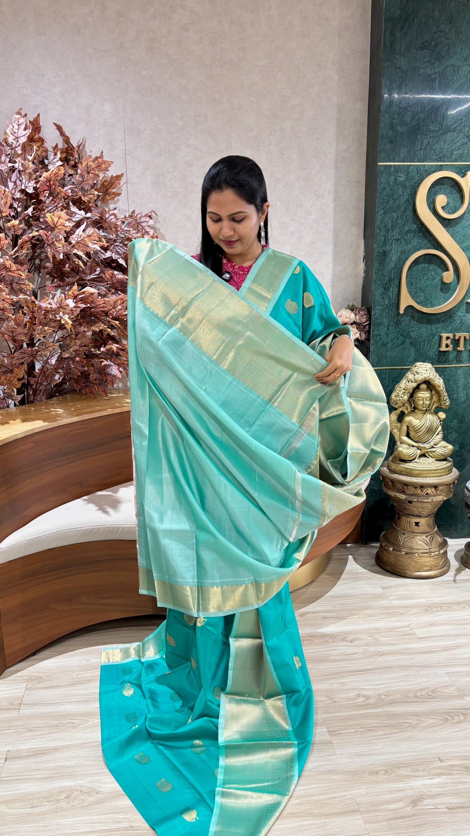 Lightweight Handloom kanchi pattu