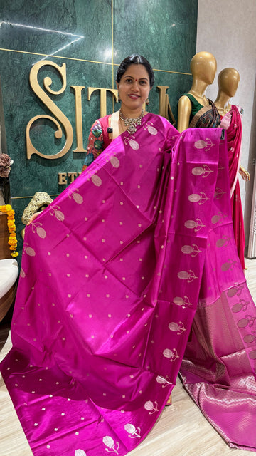 Pure handloom mango pattu