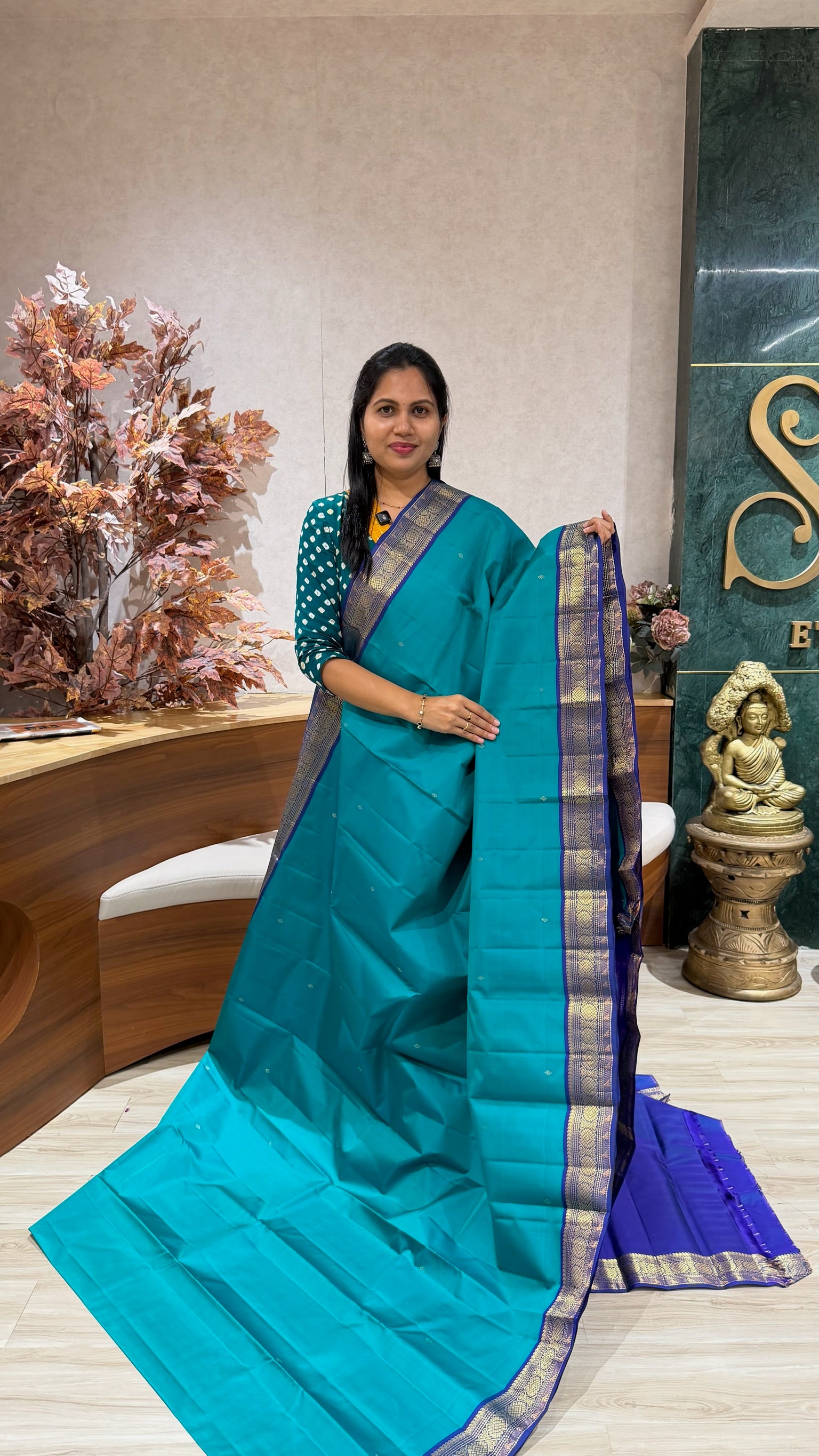 Vintage kanchi pattu sea green