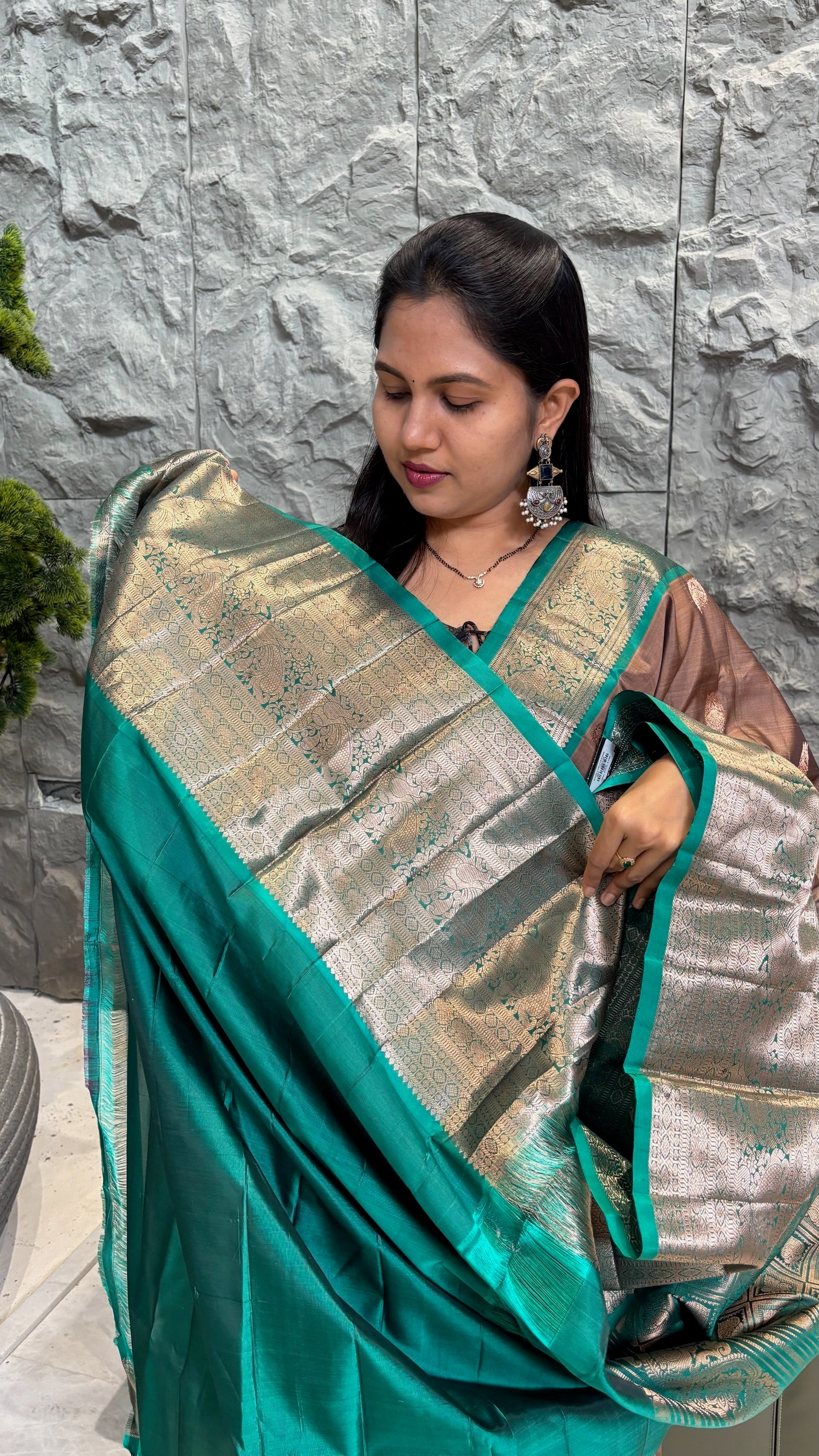 Handloom kanchi pattu chickoo