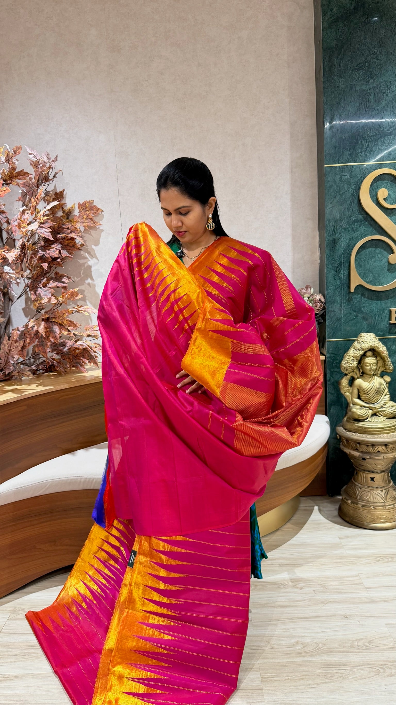 Handloom Gadwal tissue border