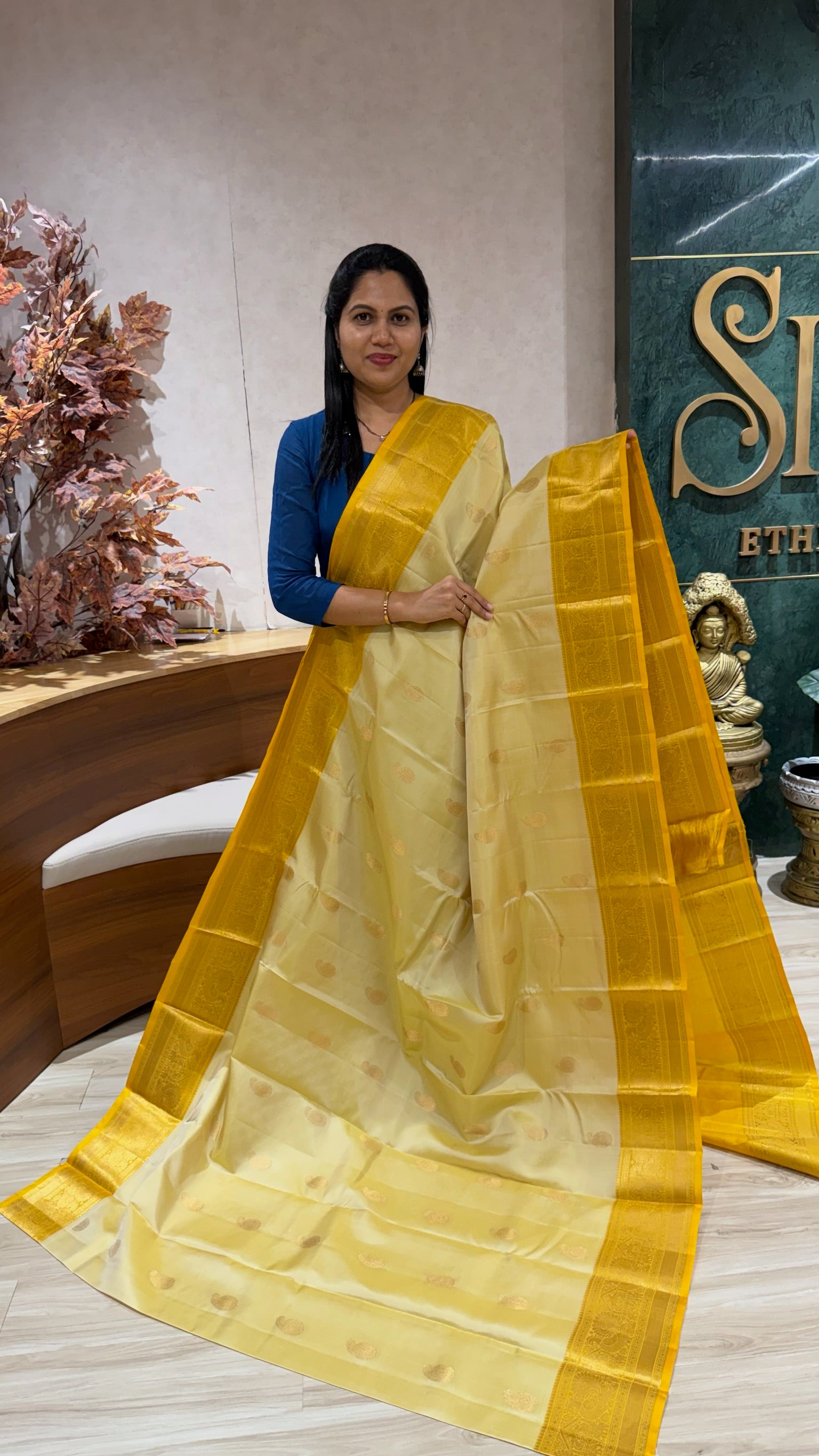 Handloom Light weight Kanchi pattu