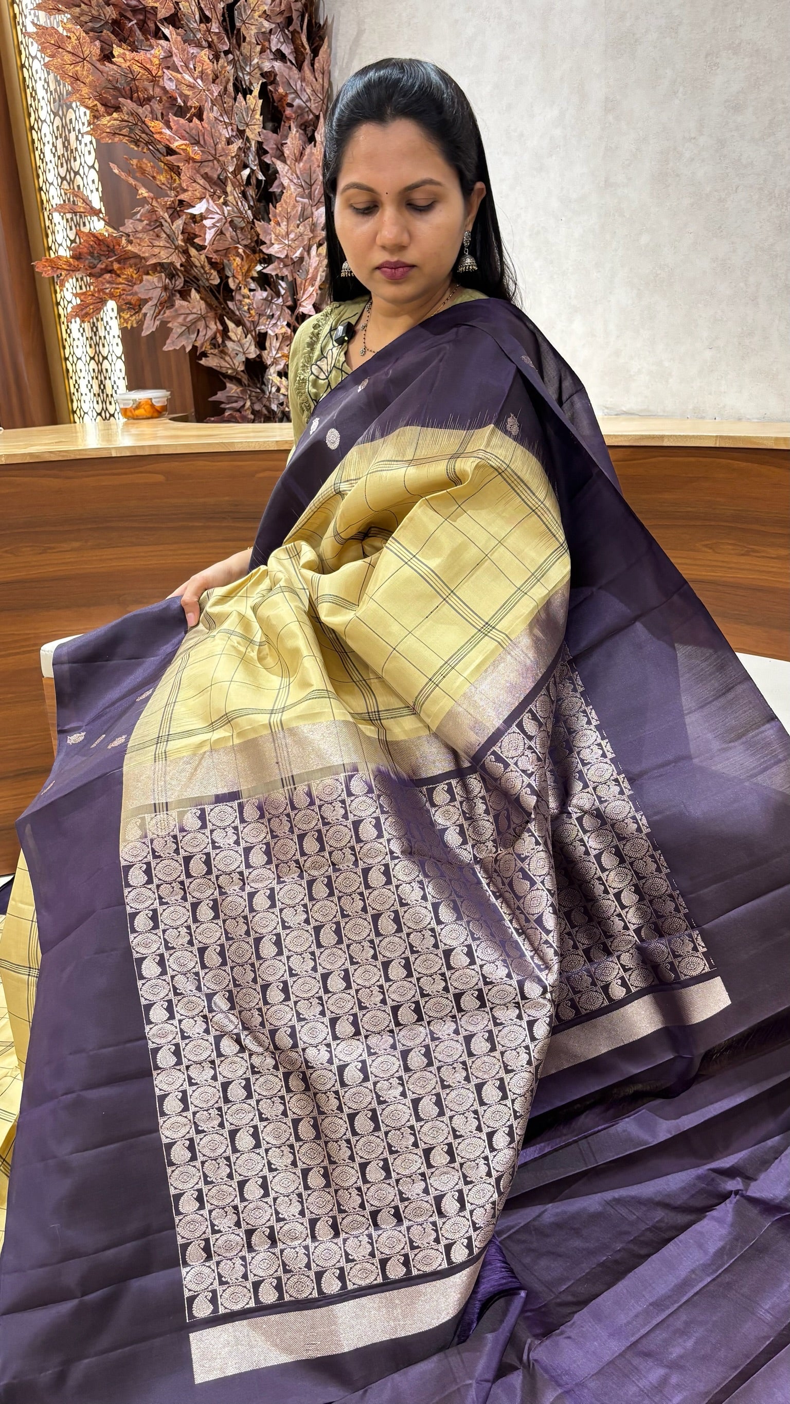Handloom kanchi pattu