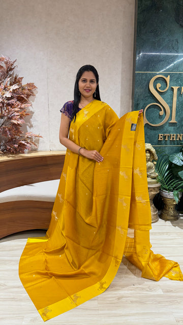 Handloom banaras pattu